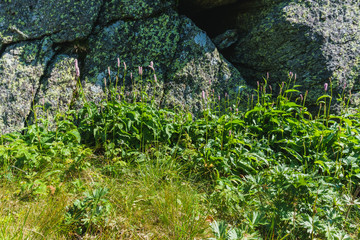 Hiking in the national Park Taganay- mountains, rivers, lakes