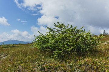 Hiking in the national Park Taganay- mountains, rivers, lakes