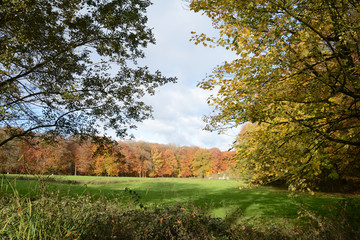 ferme..Landscape of an automnal colored forest, green meadows ans a farm.