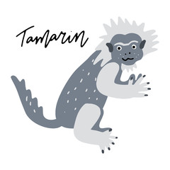 South America Animal Clipart Vector Drawing