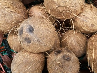 healthy coconuts at the market