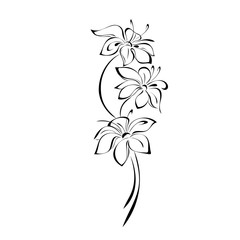 stylized bouquet of three blossoming flowers in black lines on a white background