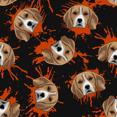 Decorative dog print with brown beagle muzzles and orange paint splashes on black backdrop.