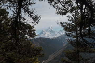 view of mountains from forest