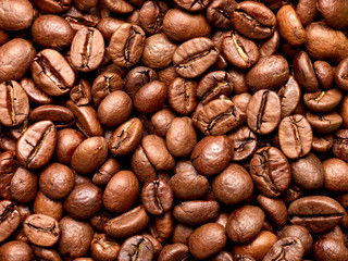 coffee bean brown roasted caffeine espresso seed