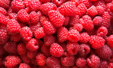 Background of fresh ripe raspberries.