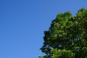 Park in Heepen-Bielefeld Ölteich