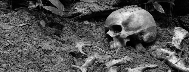 The skulls and pile of bone in pit the graveyard; discover by dig in cemetery