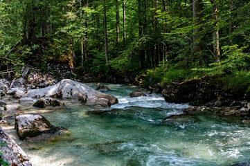 Gebirgsbach in Oberbayern