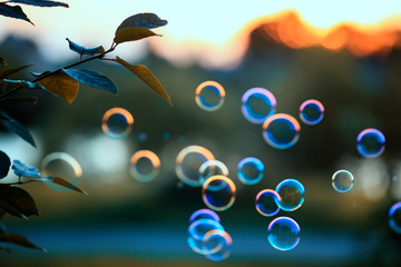 beautiful shiny soap bubbles flying over sunset sky in a bright summer Park