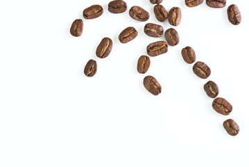 coffe beans in the white studio background