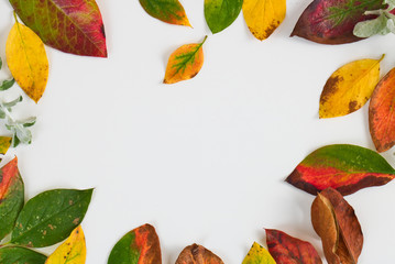 Obraz premium colorful autumn leaves background, frame