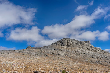 sierra de la Hidalga en el parque nacional de la sierra de las Nieves, Málaga
