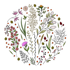 Cute romantic colorful set of twigs and flowers. nature theme. vector illustration. 