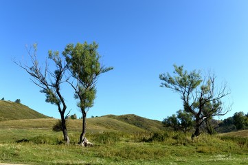  The surroundings of the taiga village of Generalka Altai region. Western Siberia