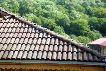 Brown tile house roof and green forest