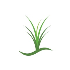 Grass logo vector template