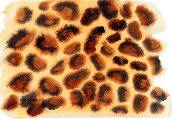 Watercolor animal print of a cheetah. Hand-drawn horizontal illustration. Yellow, brown and black colors on white paper. © Kamila Bay