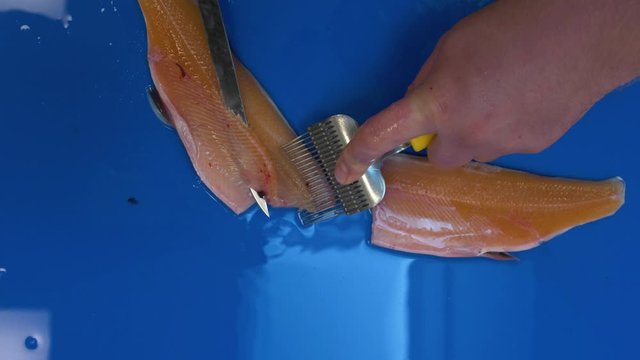 Handheld top view vertical shot of a fisherman filleting a Saibling Char shish with a sharp knife on a counter