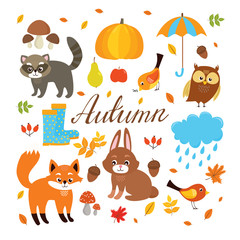 vector set of autumn elements, animals fox raccoon, owl hare and bird, autumn forest