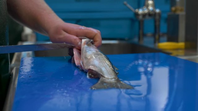 Handheld medium close-up shot of a fisherman filleting a Saibling Char shish with a sharp knife on a counter while wearing a green apron