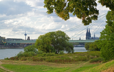 Blick auf den Kölner Dom und die Severinsbrücke von den Poller Wiesen