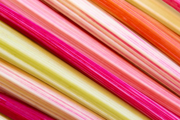 Background with closeup of colorful rainbow chard stems