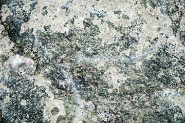 The texture of the stone overgrown with moss. Background image of a boulder