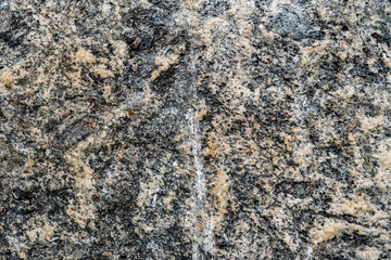 The texture of the stone overgrown with moss. Background image of a boulder