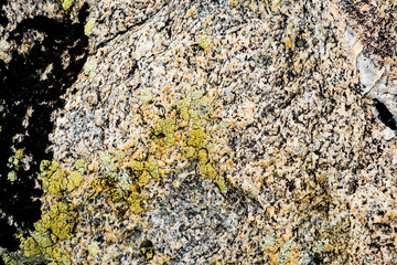 The texture of the stone overgrown with moss. Background image of a boulder