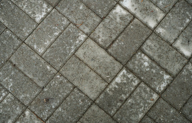 Texture of paving slabs overgrown with grass. Background image of a stratum stone