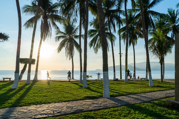 Obraz premium Tropical beach with coconut palm tree in morning sunrise