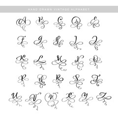 Fototapeta premium Vector Hand Drawn calligraphic flourish letters monogram or logo. Uppercase Hand Lettering alphabet with swirls and curls. Wedding Floral Design