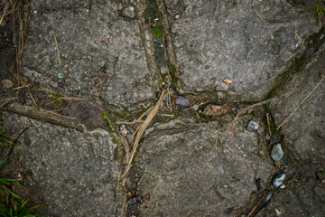 Texture of paving slabs overgrown with grass. Background image of a stratum stone