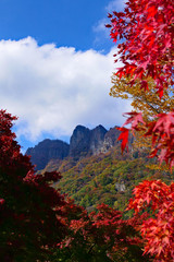 群馬の旅、秋の妙義山。下仁田　富岡　群馬　日本。１０月下旬。
