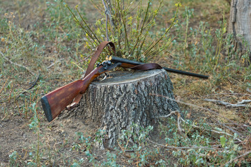 Hunting rifle on grass. The beginning of the hunting season is open. For pheasant and birds.