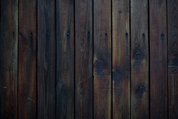 Wood texture. Macro background image of a wet dark wood
