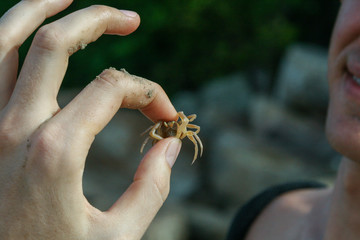 2011.05.07, Phuket, Thailand. Travel around Asia. A guy holding a small crab between his fingers. Animal world of the Phuket.