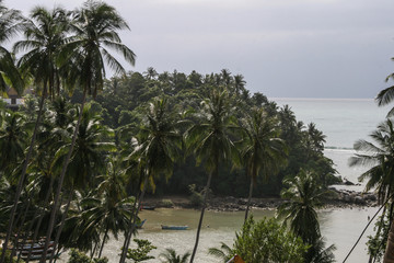 2011.05.07, Phuket, Thailand. Travel around Asia. Seascape with palm trees and horizon line on Phuket Island.