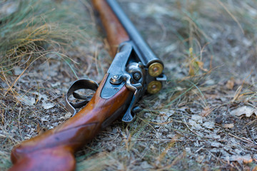 Hunting rifle on grass. The beginning of the hunting season is open. For pheasant and birds.