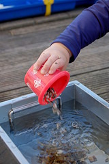 Freies Spiel mit Wasser