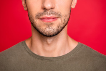 Cropped photo of guy face showing new beard hairstyle wear grey t-shirt isolated on red background