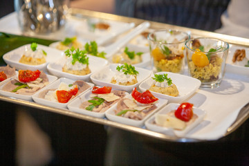 Tasty and colorful appetizers being served on a plate on a party