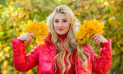 Lady posing with leaves autumn nature background. Autumn traditional attributes concept. Autumn is her favorite season of year. Girl dreamy face hold bunch maple leaves. Woman walk in autumn park