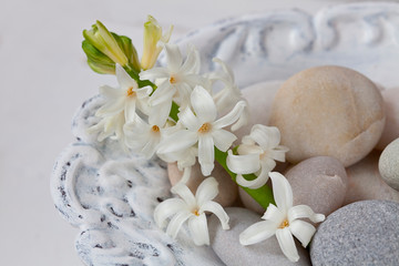 Fototapeta na wymiar Still Life With Little White Spring Flowers