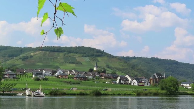 car and passenger ferry from Ellenz towards Beilstein at Moselle River. View over vineyards.