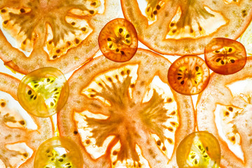 Tomato slice backlit. Abstract food background.