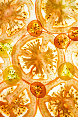 Tomato slice backlit. Abstract food background.