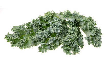 Obraz premium A healthy fresh organic curly kale leaves on an isolated white background