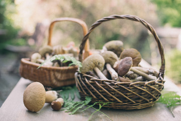 Different mushrooms in the basket